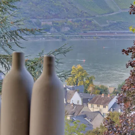 Rheinvilla Weitblick Tatil Evi Boppard
