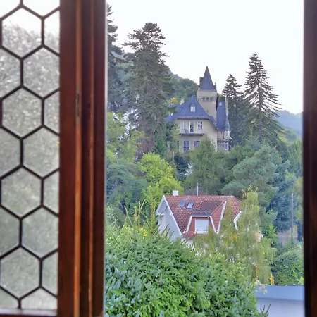 Rheinvilla Weitblick Holiday home